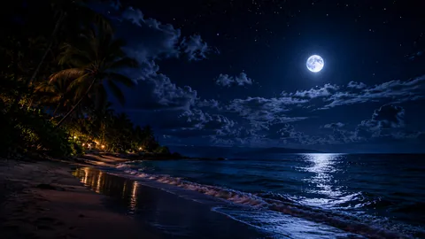 Night Beach